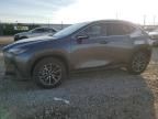 2024 Lexus NX 350H Base