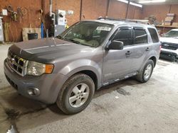 Salvage cars for sale at Ebensburg, PA auction: 2008 Ford Escape XLT