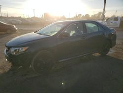 Salvage cars for sale at Los Angeles, CA auction: 2013 Toyota Camry L