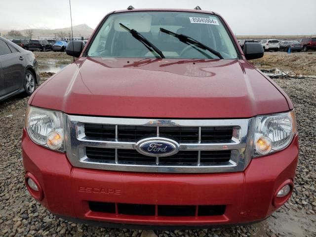 2010 Ford Escape XLT