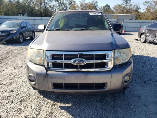 2008 Ford Escape XLT