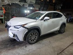 2020 Lexus NX 300 en venta en Albany, NY