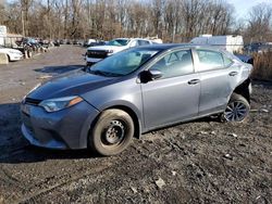 Toyota Vehiculos salvage en venta: 2016 Toyota Corolla L