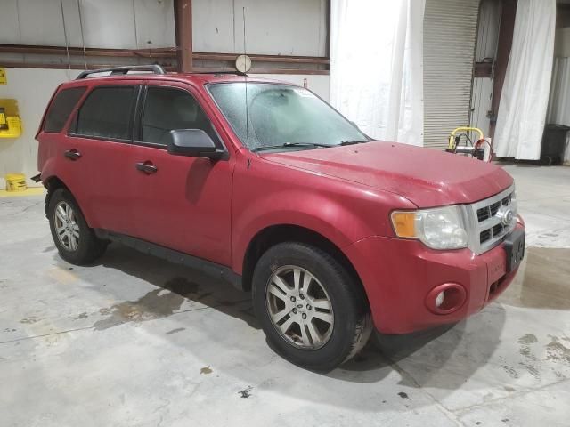 2010 Ford Escape XLT