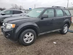 Salvage cars for sale at Chicago Heights, IL auction: 2011 Ford Escape XLS