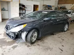 Salvage cars for sale at Ham Lake, MN auction: 2013 Hyundai Sonata GLS