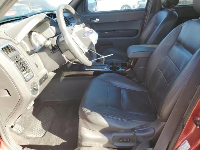 2008 Ford Escape Limited