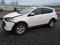 Salvage cars for sale from Copart Cleveland: 2014 Toyota Rav4 XLE