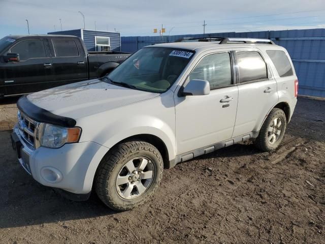 2010 Ford Escape Limited