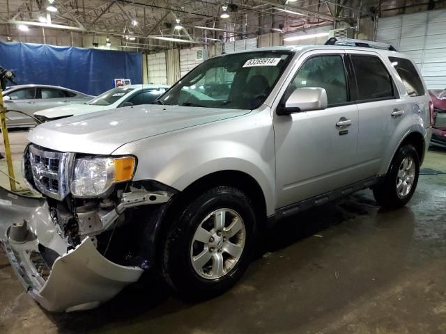 2010 Ford Escape Limited