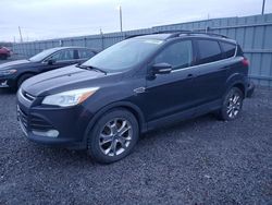 2013 Ford Escape SEL en venta en Ottawa, ON