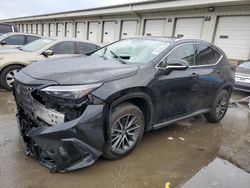 Salvage cars for sale at Louisville, KY auction: 2023 Lexus NX 350H