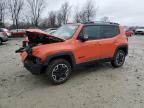 2015 Jeep Renegade Trailhawk