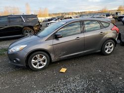 Ford salvage cars for sale: 2013 Ford Focus SE