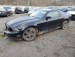 2013 Ford Mustang en venta en Hurricane, WV