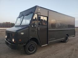 2009 Freightliner Chassis M Line WALK-IN Van en venta en Brookhaven, NY