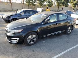 KIA salvage cars for sale: 2012 KIA Optima Hybrid