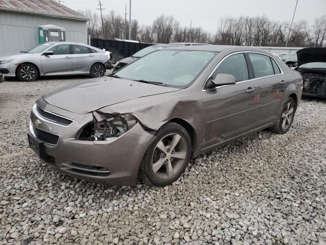 2011 Chevrolet Malibu 1LT