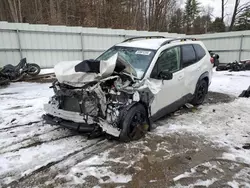 Salvage cars for sale at Center Rutland, VT auction: 2023 Subaru Forester Wilderness