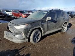 Salvage cars for sale from Copart Helena, MT: 2020 Toyota Rav4 XLE