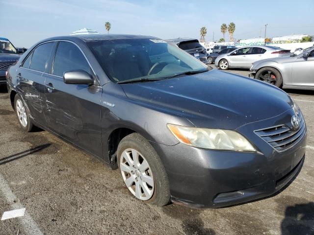 2008 Toyota Camry Hybrid