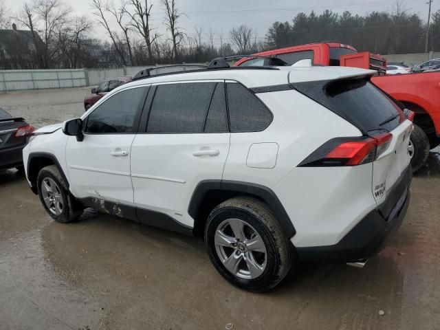 2024 Toyota Rav4 XLE