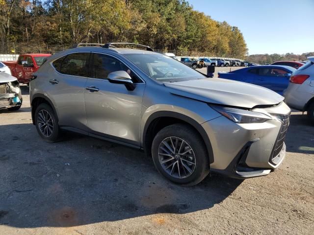 2025 Lexus NX 250 Premium