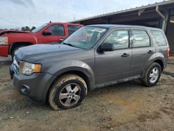 Salvage cars for sale at Tanner, AL auction: 2011 Ford Escape XLS