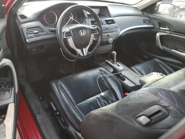 2008 Honda Accord EXL