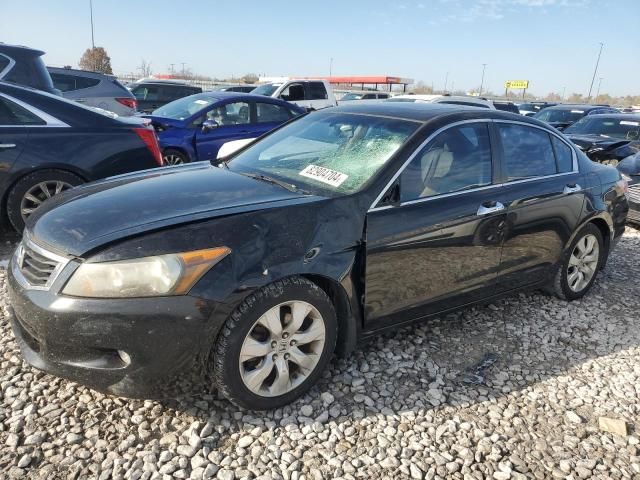 2010 Honda Accord EXL