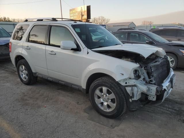 2011 Ford Escape Limited