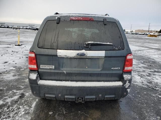 2008 Ford Escape Limited