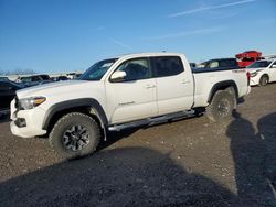 Salvage cars for sale at Earlington, KY auction: 2019 Toyota Tacoma Double Cab