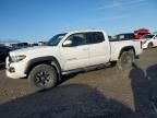 2019 Toyota Tacoma Double Cab