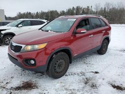 KIA salvage cars for sale: 2011 KIA Sorento EX