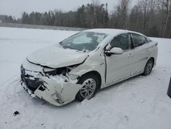 Salvage cars for sale from Copart Ontario Auction, ON: 2020 Toyota Prius Prime LE