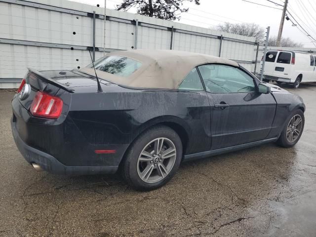 2010 Ford Mustang