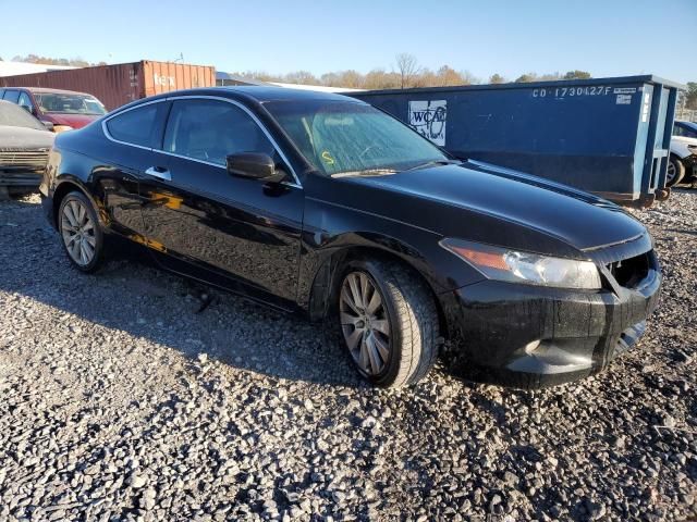 2009 Honda Accord EXL