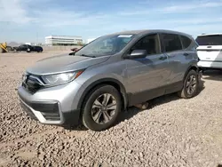 Salvage cars for sale at Phoenix, AZ auction: 2020 Honda CR-V LX