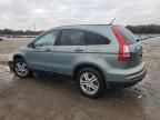 2010 Honda CR-V EXL