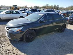 Vehiculos salvage en venta de Copart Riverview, FL: 2016 Toyota Camry LE