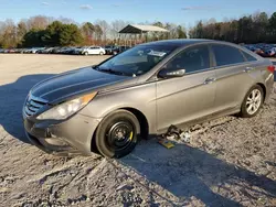 Salvage cars for sale from Copart Charles City, VA: 2013 Hyundai Sonata SE