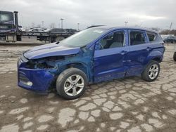 2014 Ford Escape SE en venta en Indianapolis, IN