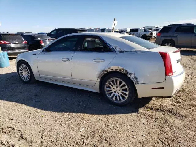 2011 Cadillac CTS Performance Collection