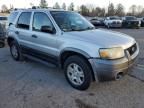 2005 Ford Escape XLT