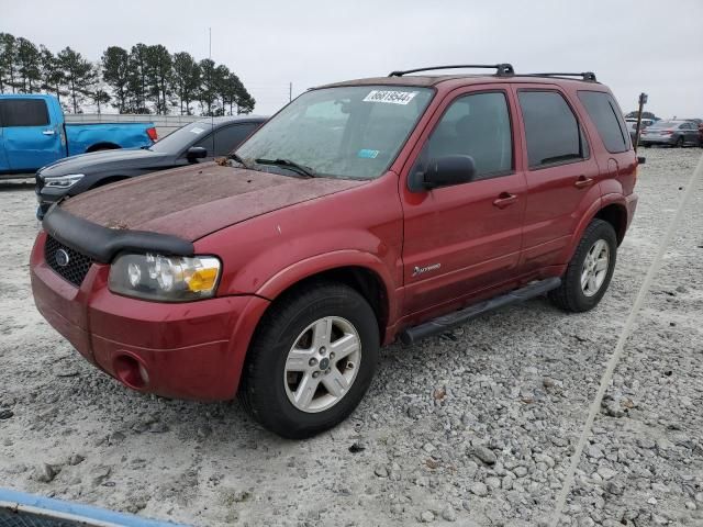 2006 Ford Escape HEV