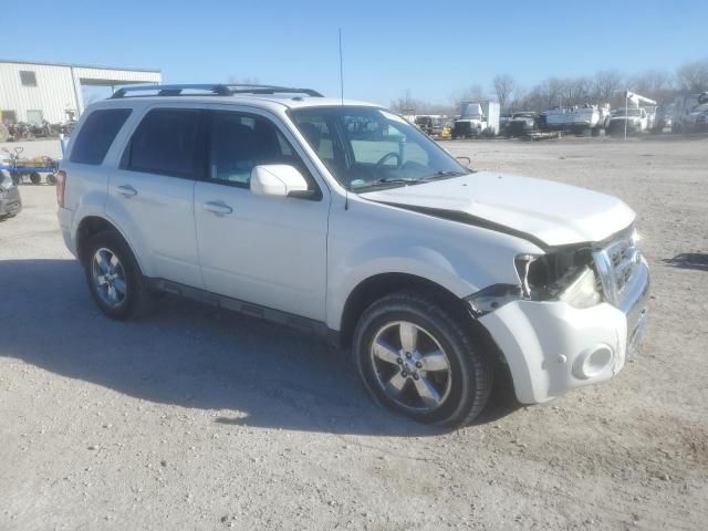 2011 Ford Escape Limited