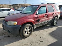 2005 Ford Escape XLT en venta en Littleton, CO