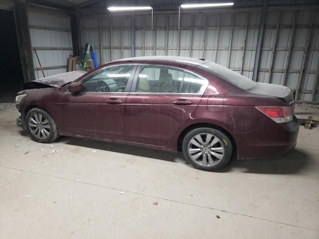 2011 Honda Accord EXL