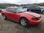 1999 Ford Mustang